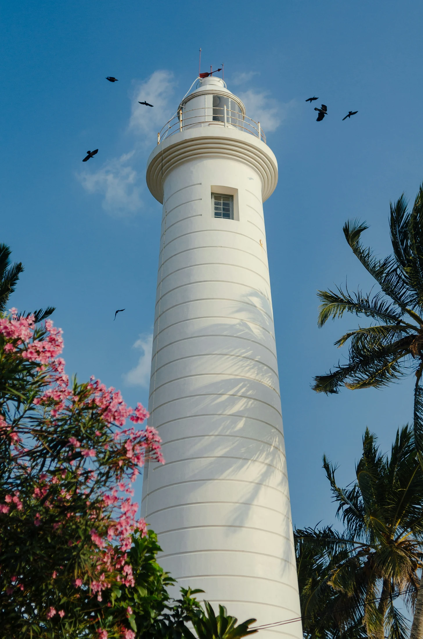 Historic Galle Light